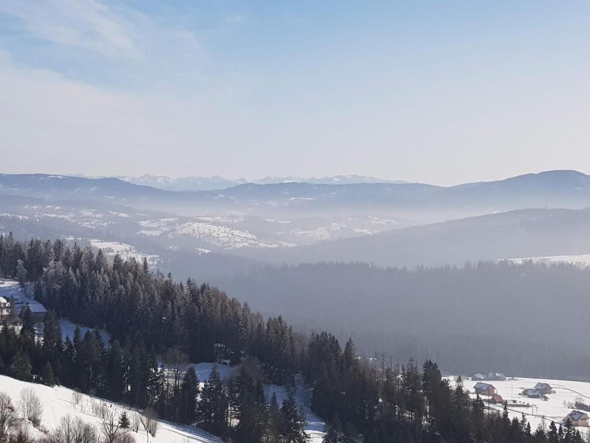Agroturystyka Koronkowe Zacisze Koniaków Екстериор снимка