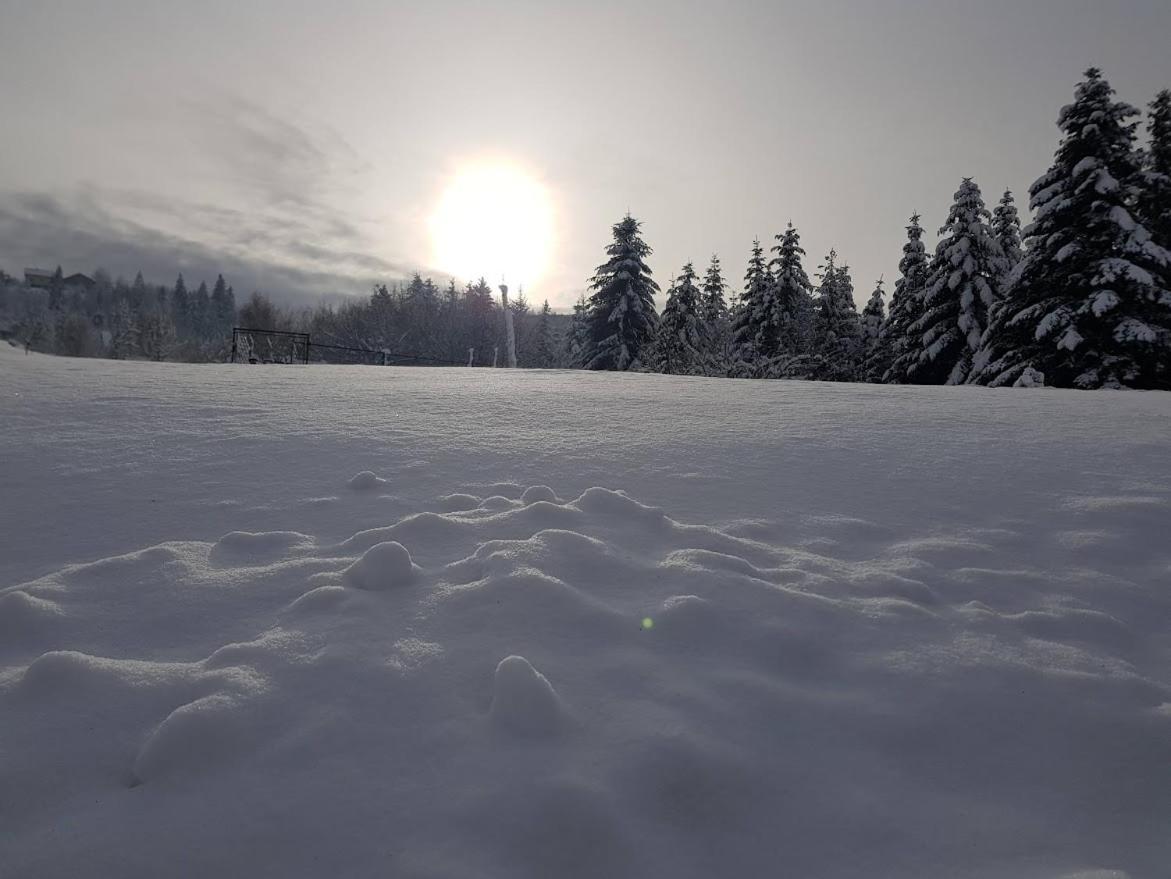 Agroturystyka Koronkowe Zacisze Koniaków Екстериор снимка