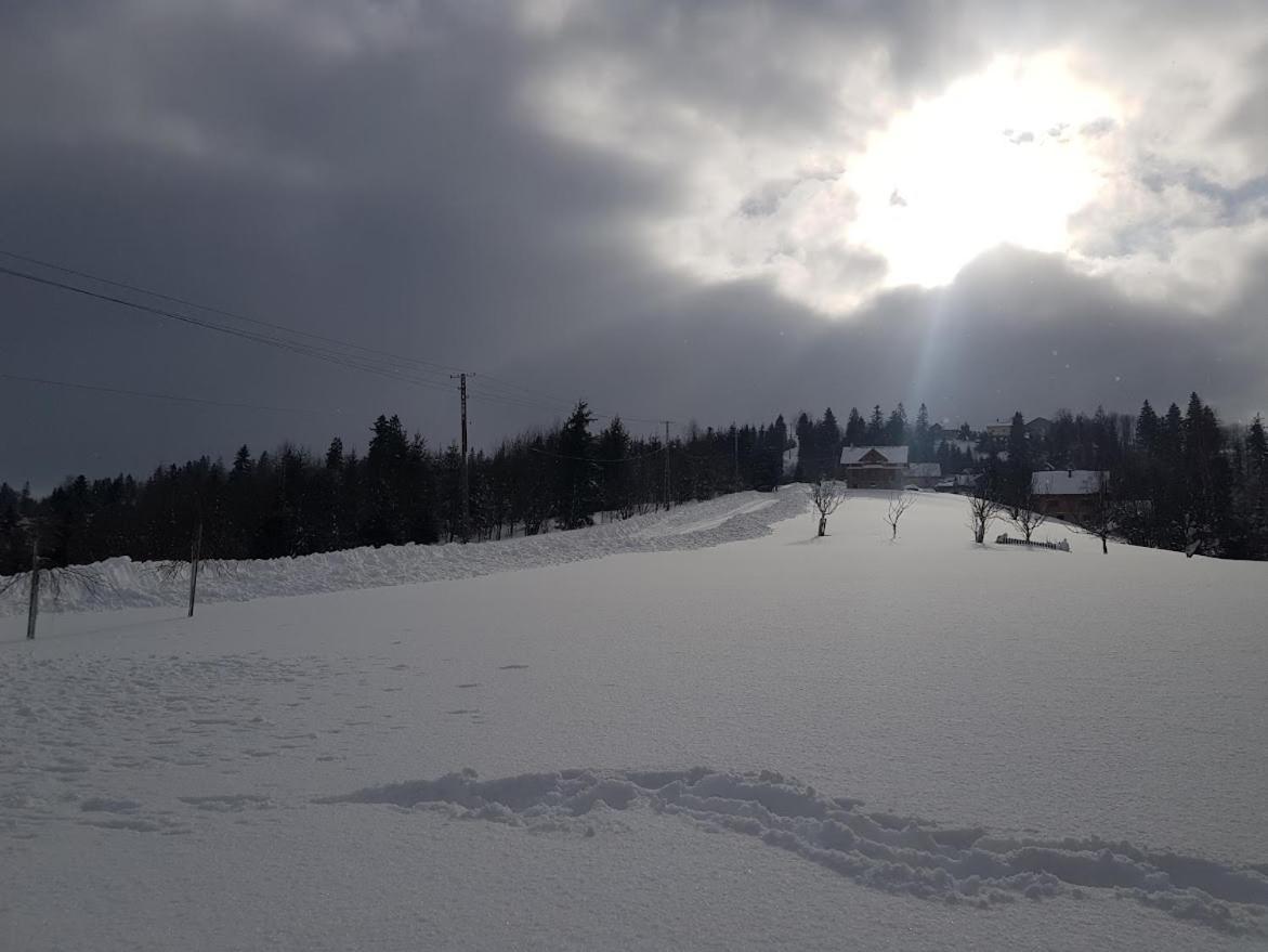 Agroturystyka Koronkowe Zacisze Koniaków Екстериор снимка